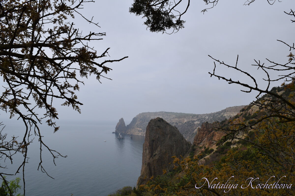 Природа Крыма - Amazing Cosmea