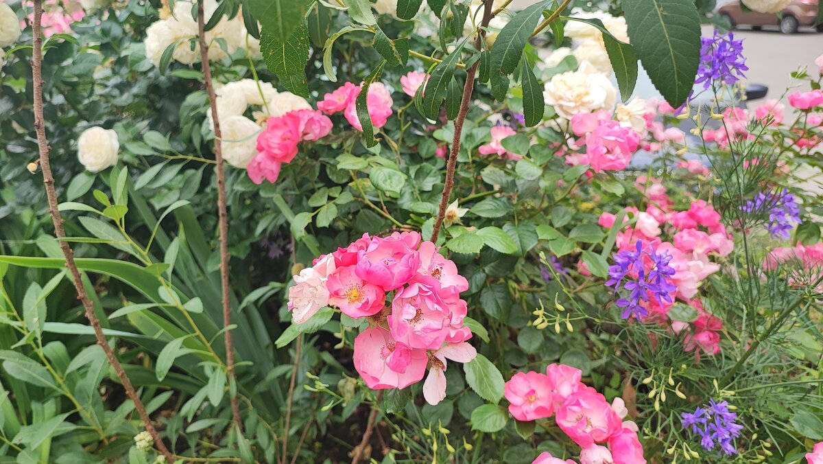 ,,, - Сергей Тимоновский