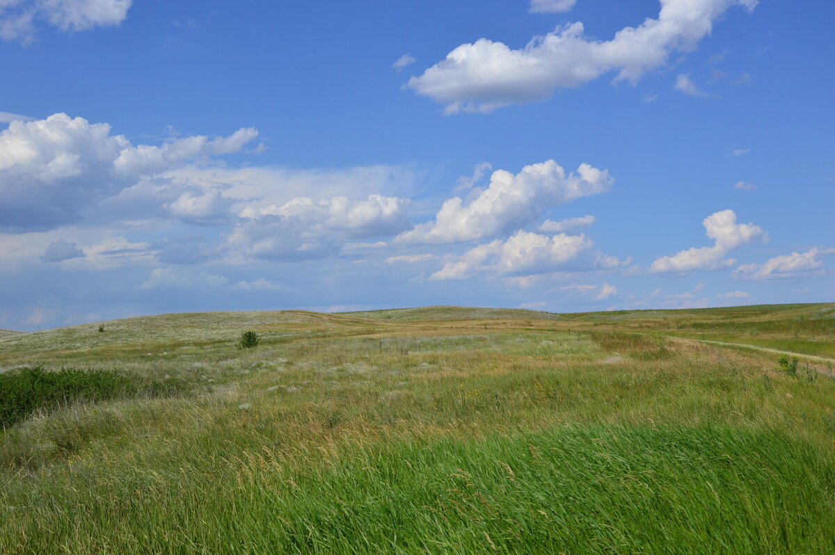 В степи. - Виктор 