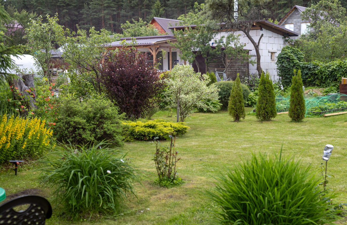 мой сад - Владимир Зеленцов