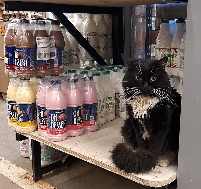 *** - Владимир Захаров