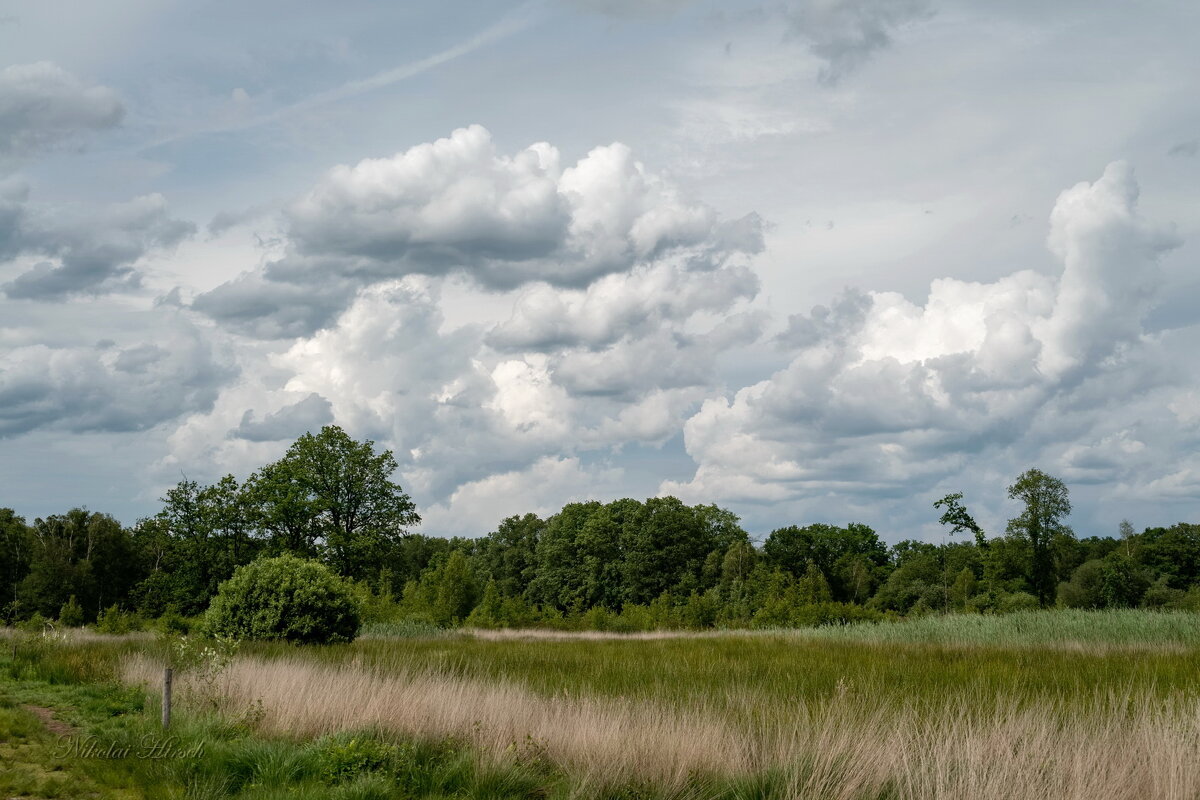 *** - Николай Гирш