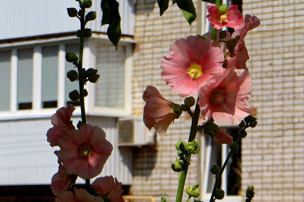 Городской этюд - Татьяна Смоляниченко Городской этюд - Татьяна Смоляниченко