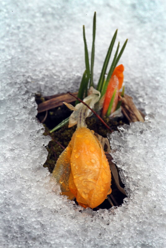 13 апреля - Михаил Бибичков 13 апреля - Михаил Бибичков