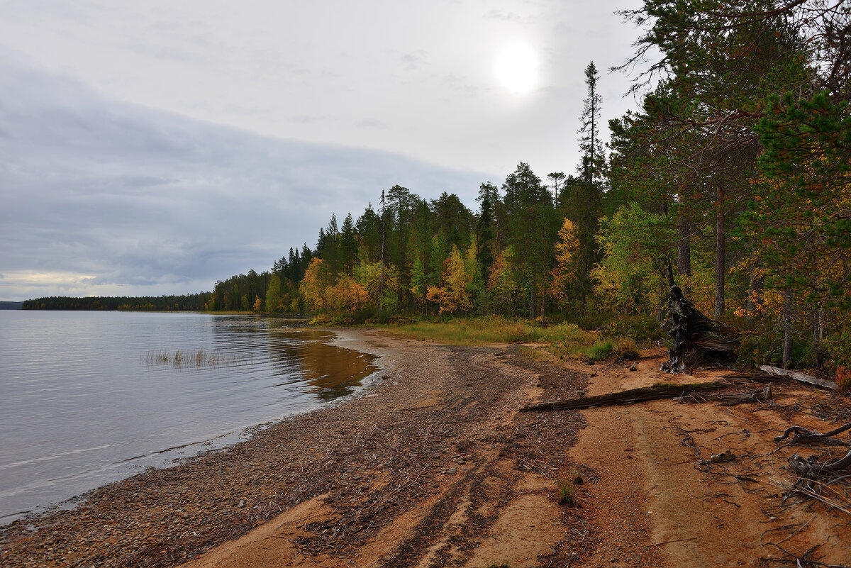 *** - Александр Хаецкий