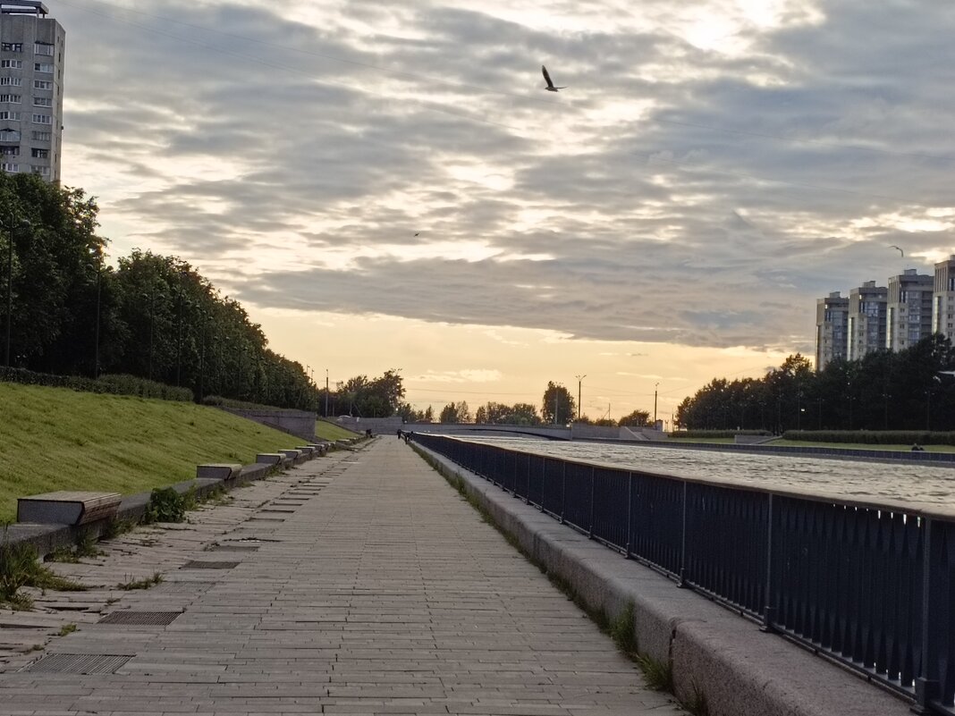 Закат - Митя Дмитрий Митя