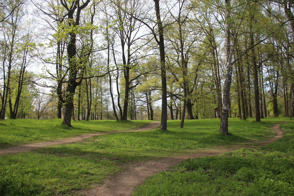 Стрельна. Орловский парк - Наталья Герасимова