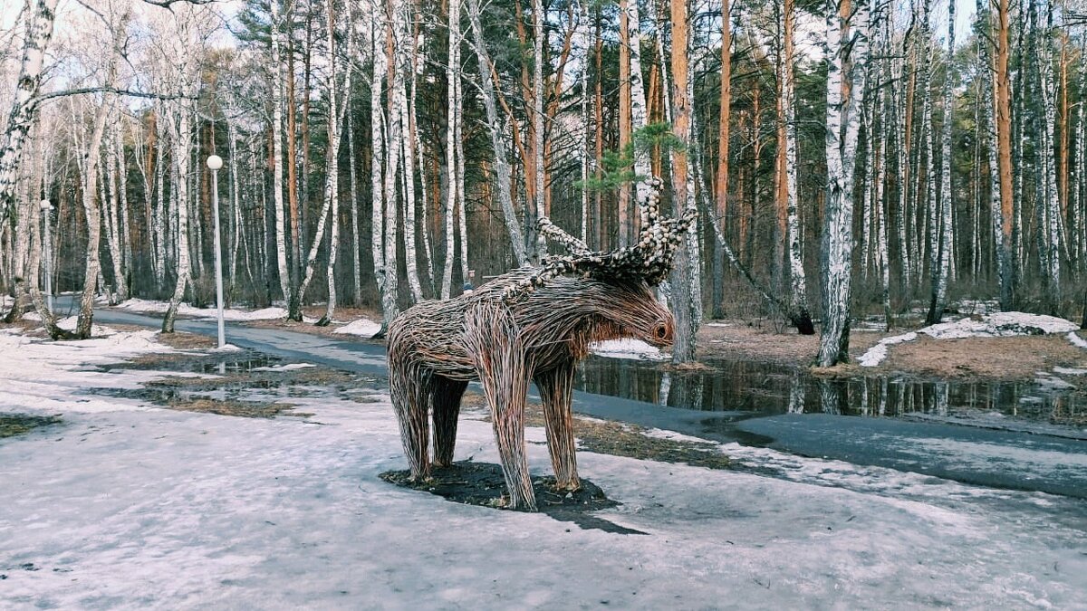 Лось - Георгиевич 