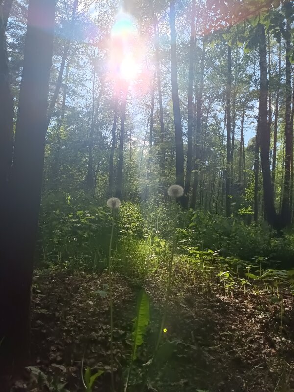 в парке Малевича - Галина R...