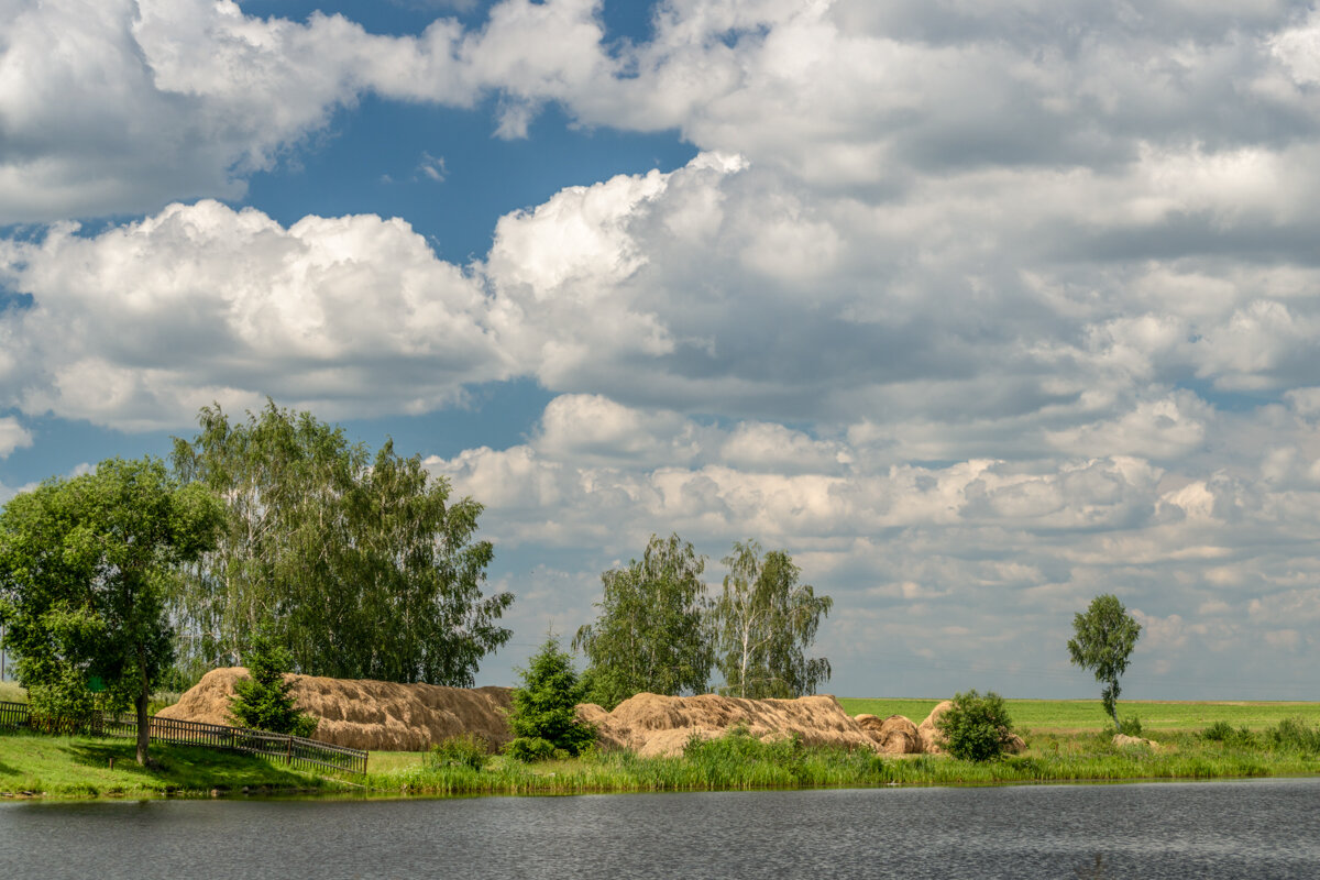 Заготовка сена - Игорь Сикорский Заготовка сена - Игорь Сикорский