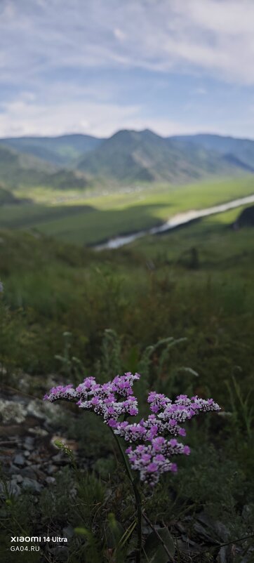 Алтай - Александр Чибисов