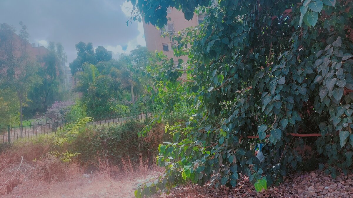 13 ОПЕН (196) - OPEN WAYS ALL 13 ОПЕН (196) - OPEN WAYS ALL