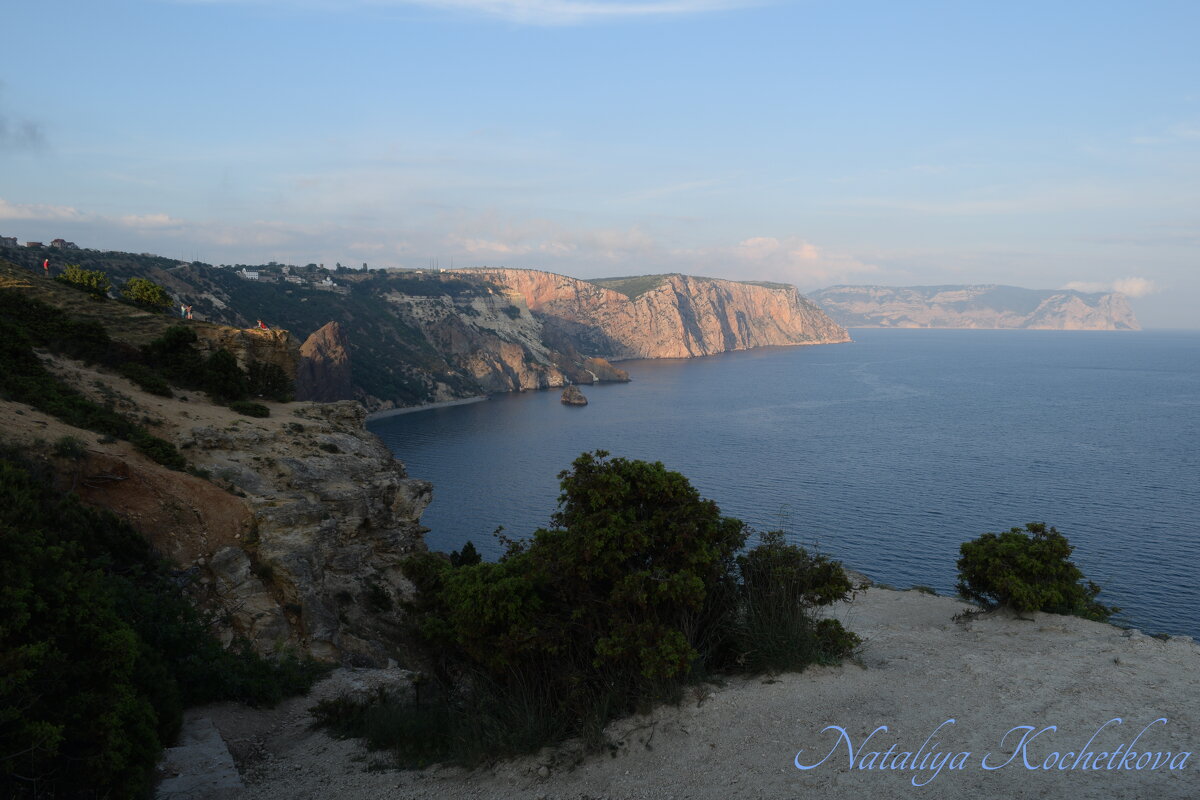 Природа Крыма - Amazing Cosmea Природа Крыма - Amazing Cosmea