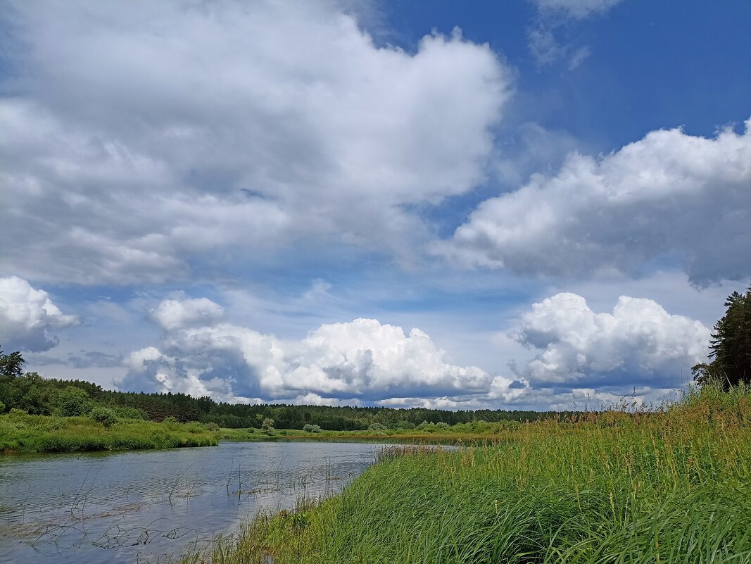 Река Угра - Pippa Река Угра - Pippa