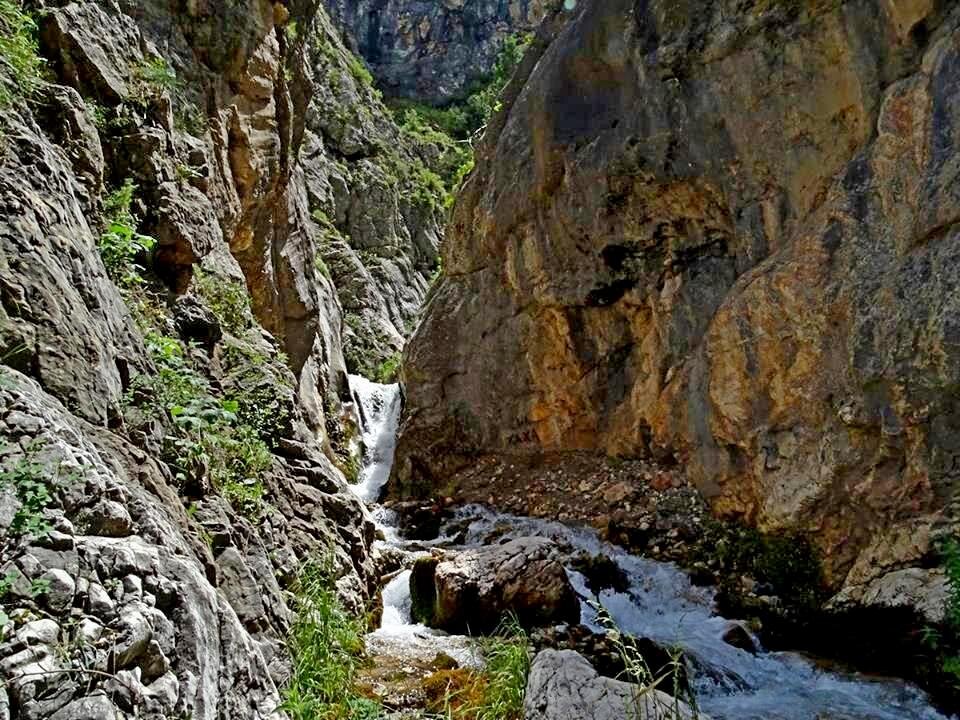 ПО ГОРАМ. - Виктор Осипчук