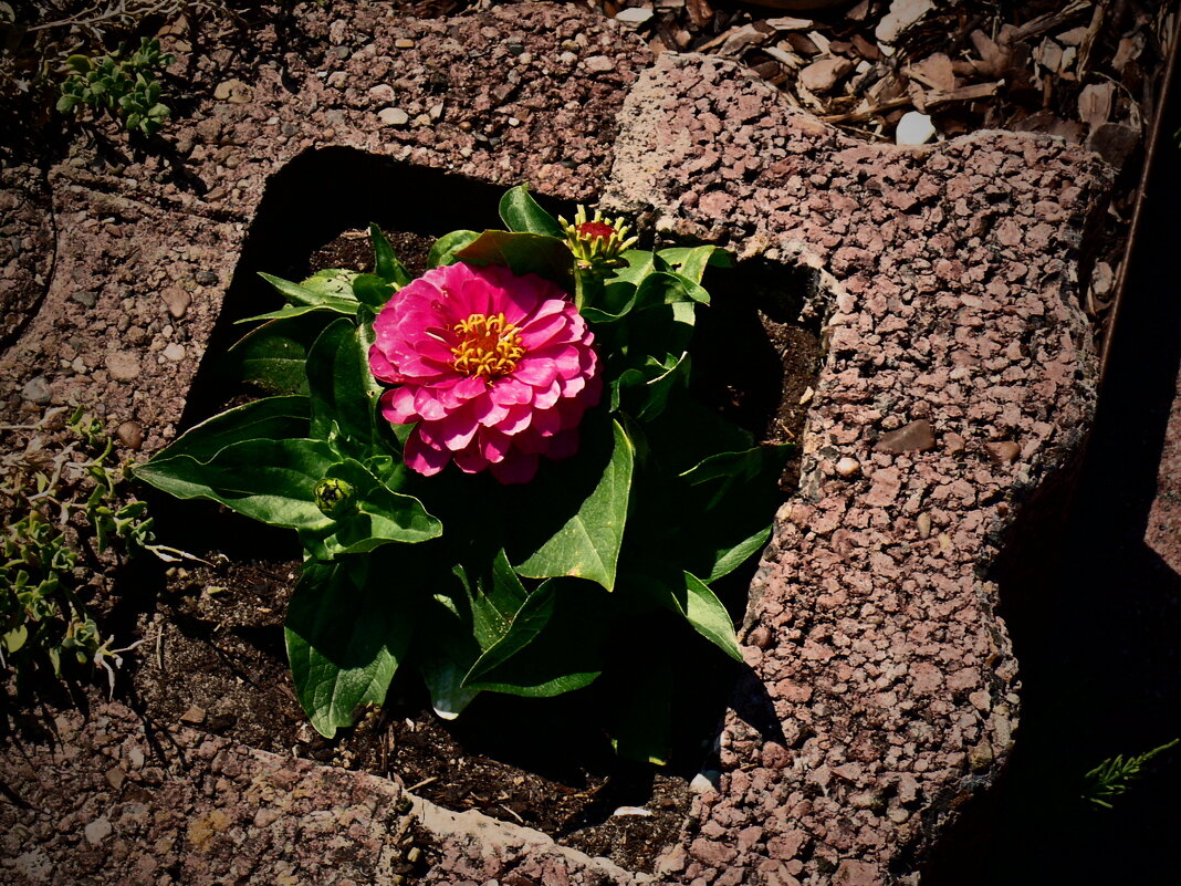 Летние этюды 43 - Алексей Кузнецов