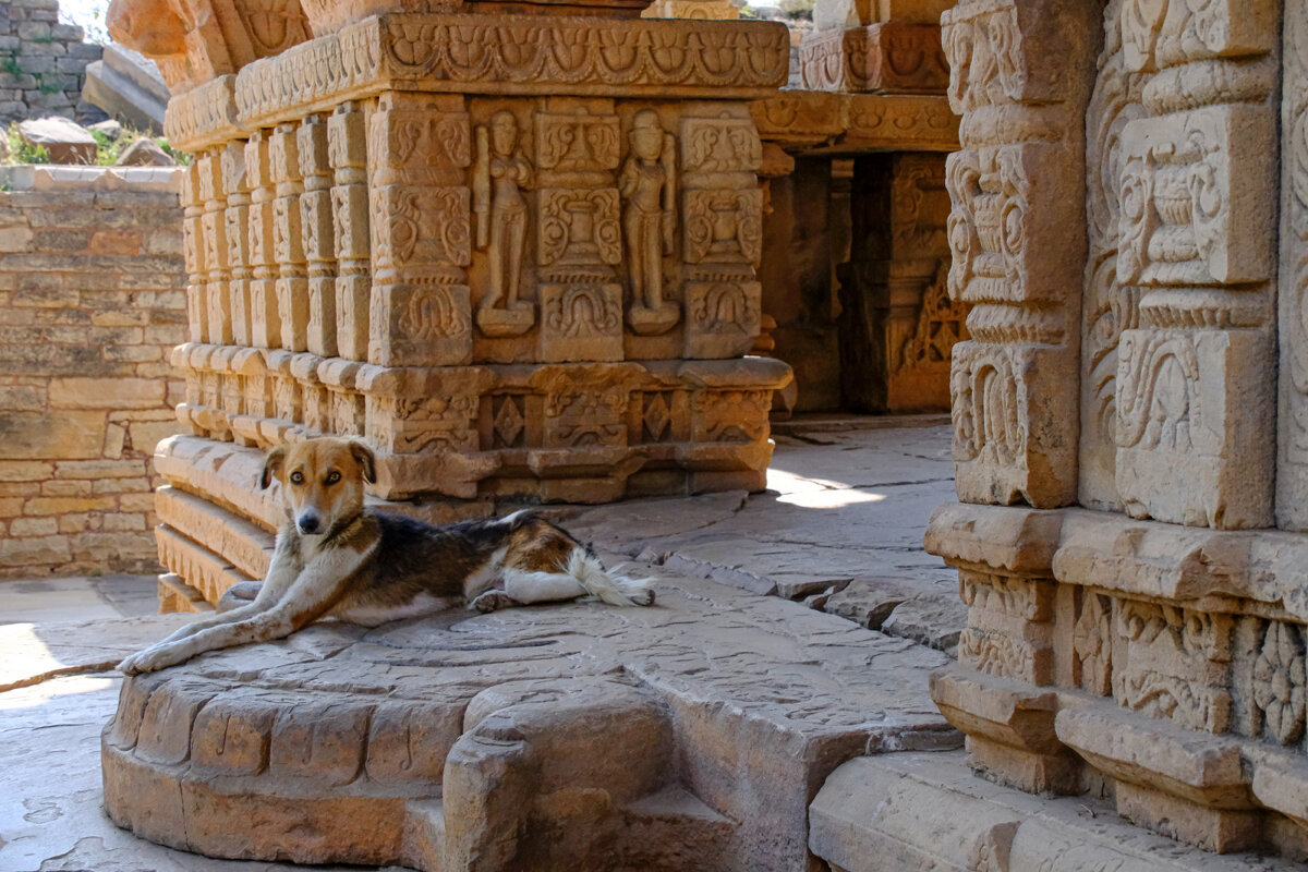 Новый охранник  храма - Георгий А