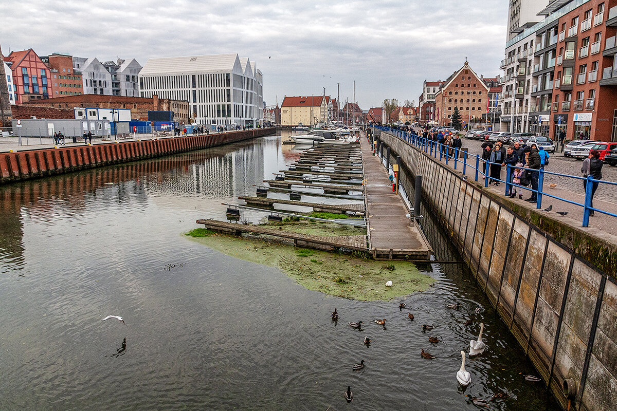 Гданьск - Дмитрий 