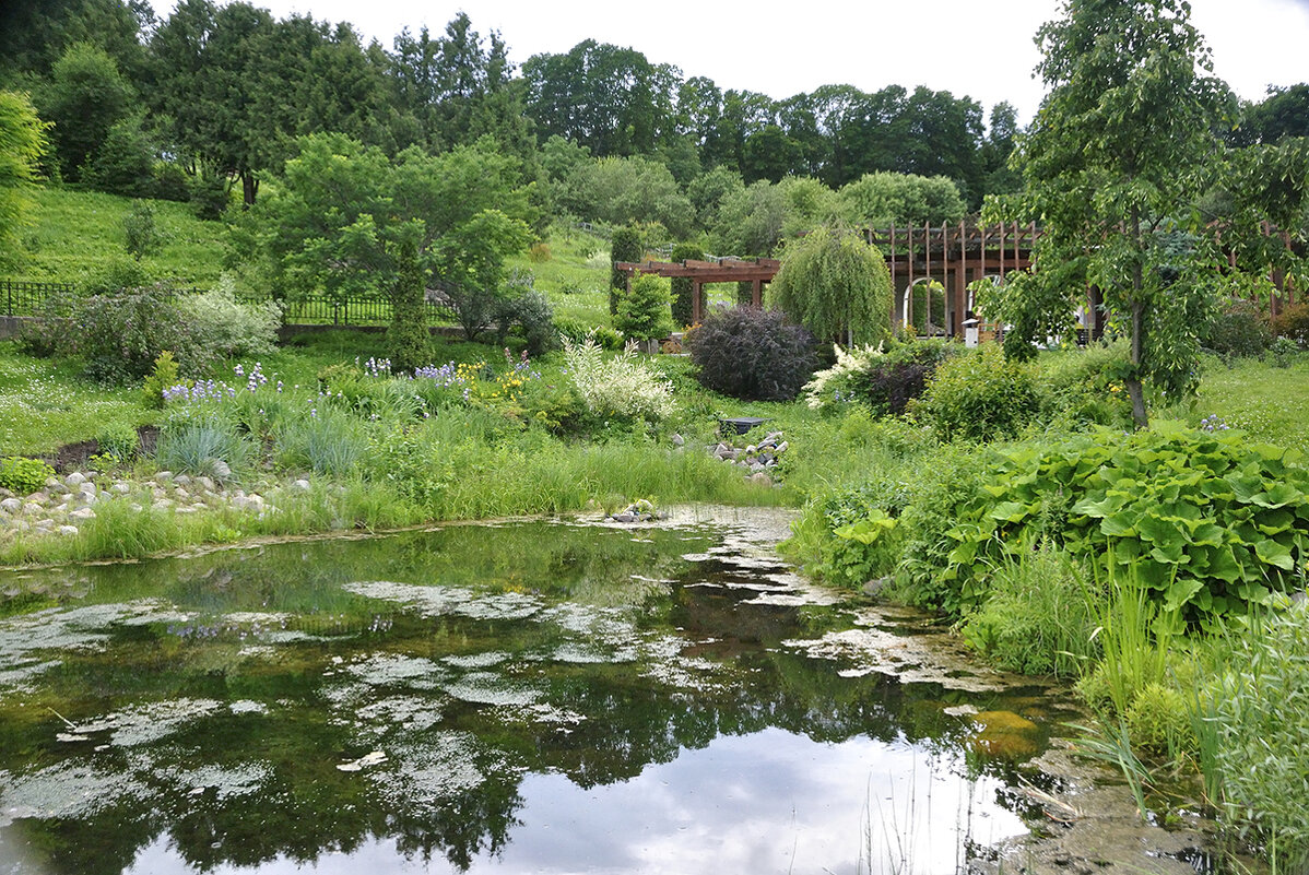 Патриарший ботанический сад - Марина Виноградова Патриарший ботанический сад - Марина Виноградова