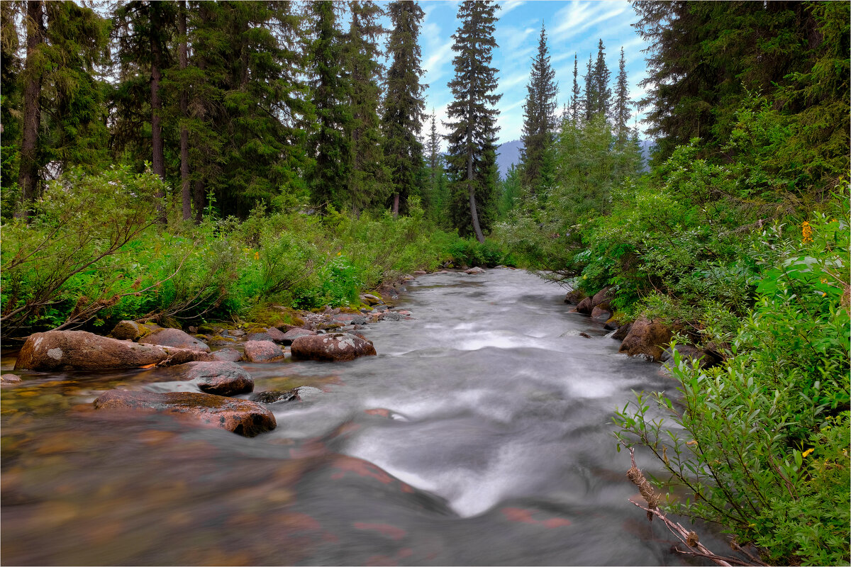 В сибирской тайге - Алексей Мезенцев