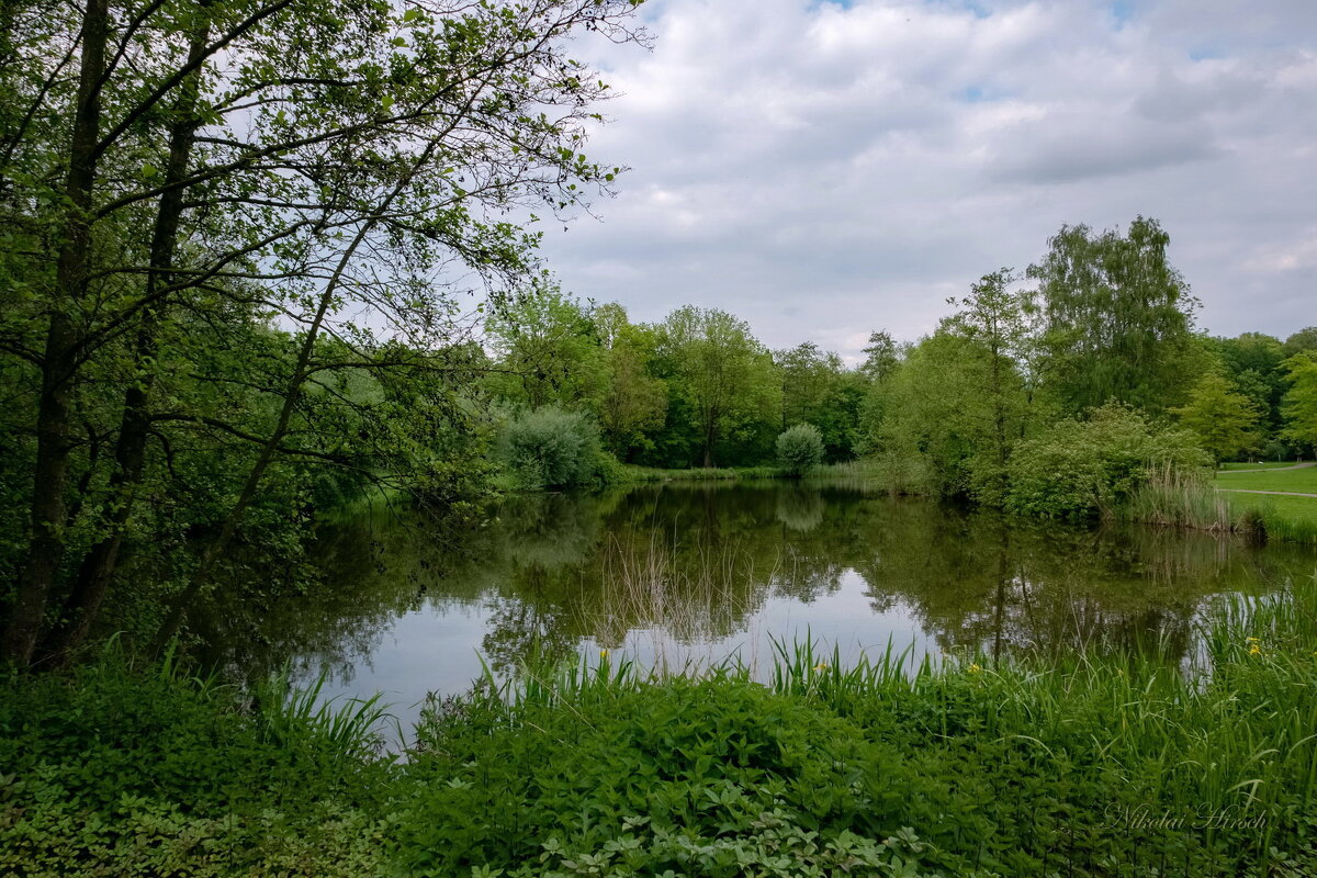 *** - Николай Гирш *** - Николай Гирш