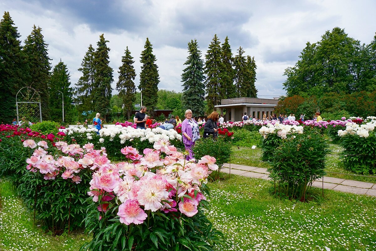 В ботаническом саду - Ольга В ботаническом саду - Ольга