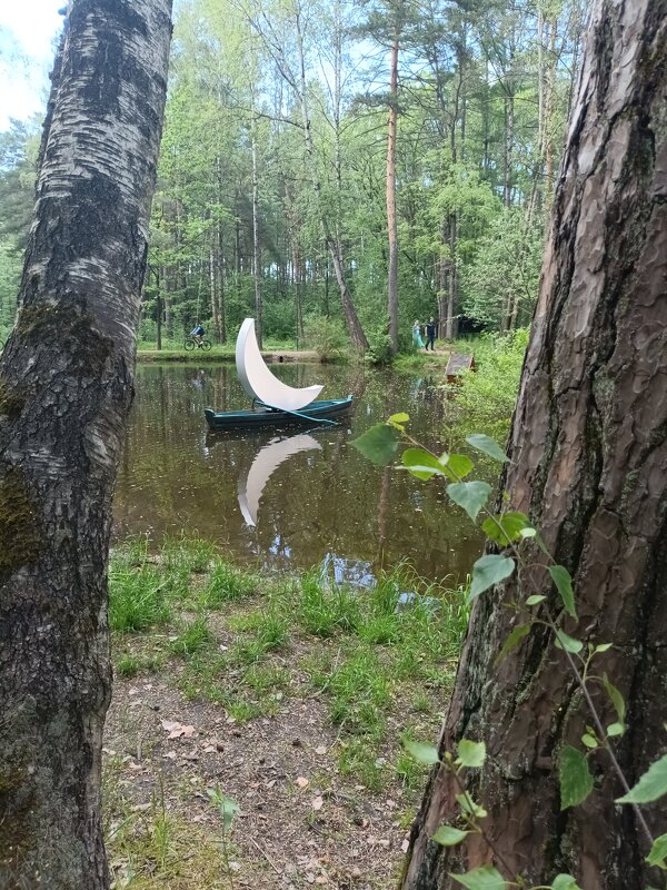 «Частная луна» Леонида Тишкова - Галина R...