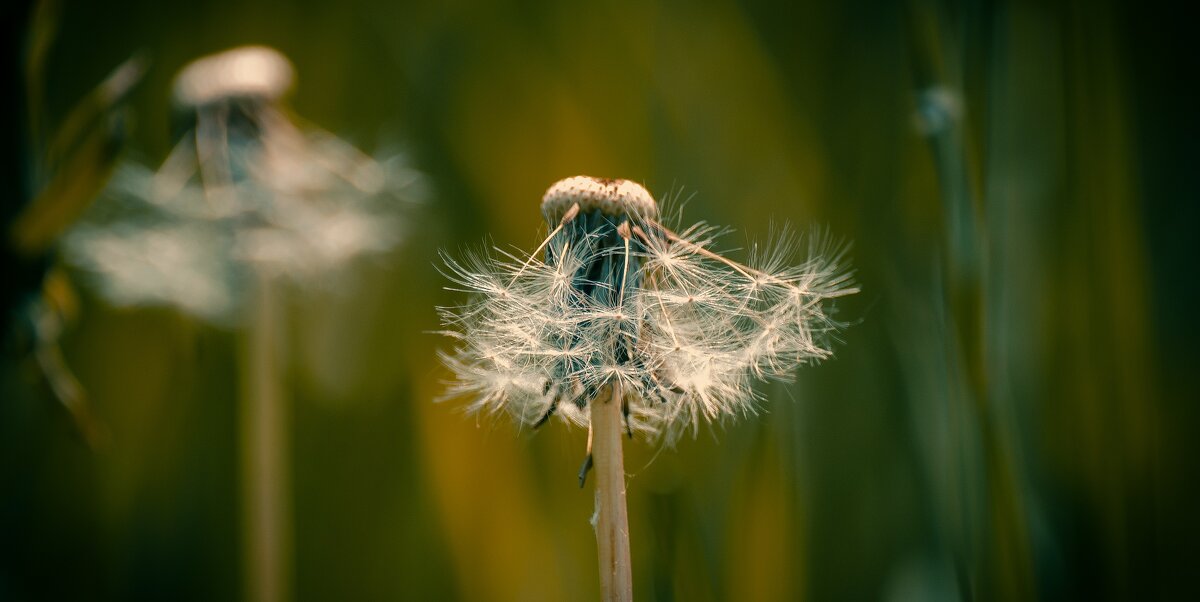 *** - Виктор Иванович Чернюк