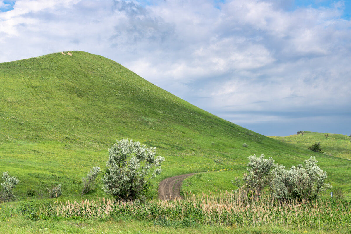 Рельеф - Игорь Сикорский Рельеф - Игорь Сикорский