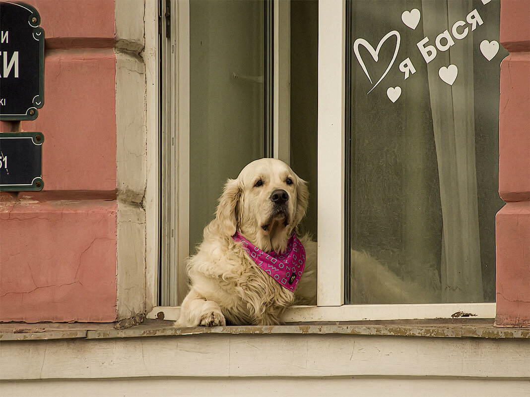 Бася. - Александр 