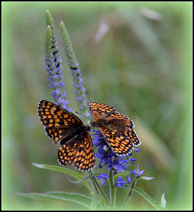 Поговорим... - Aleksandr Gal