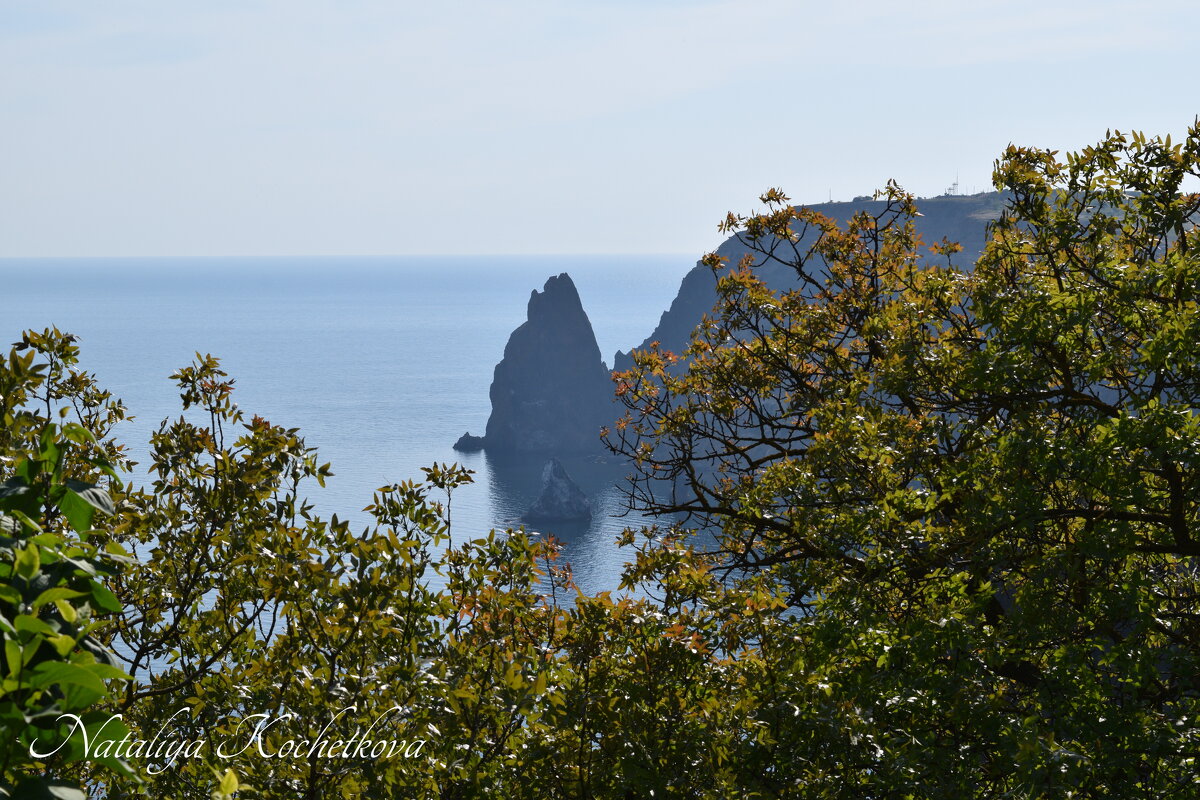 Природа Крыма - Amazing Cosmea