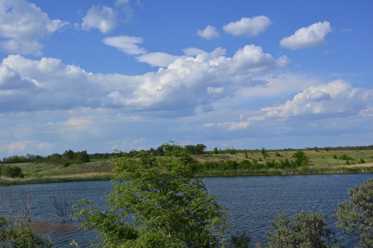 Пруд в степи. - Виктор 