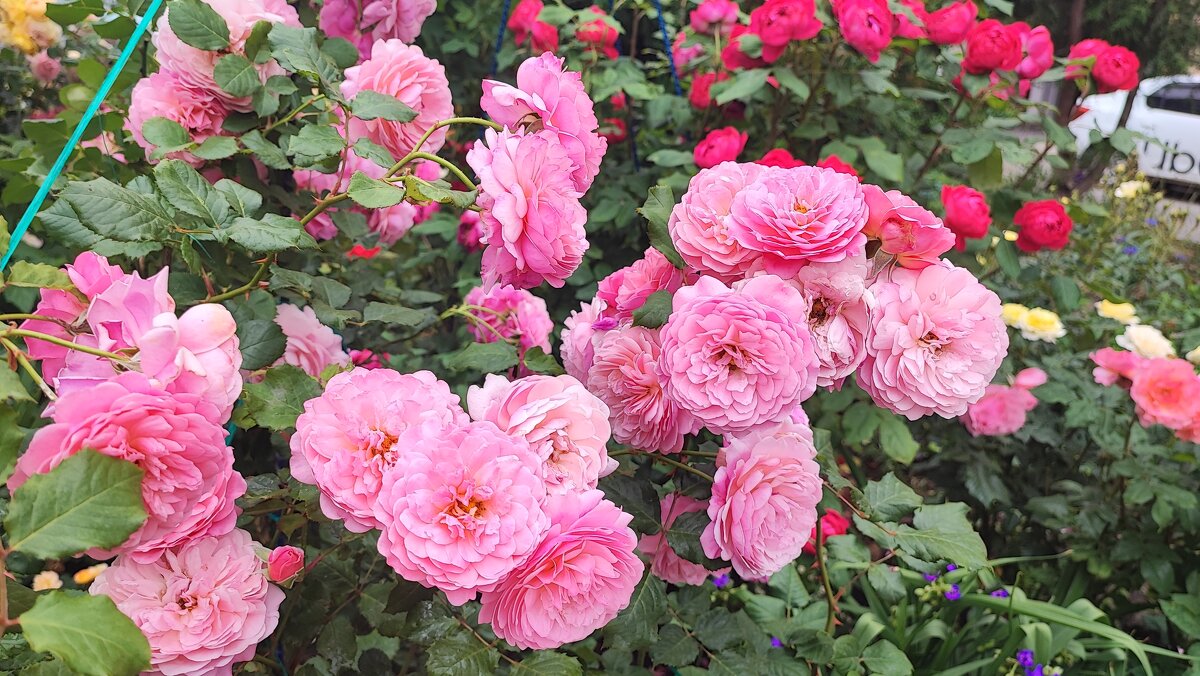 ,,, - Сергей Тимоновский