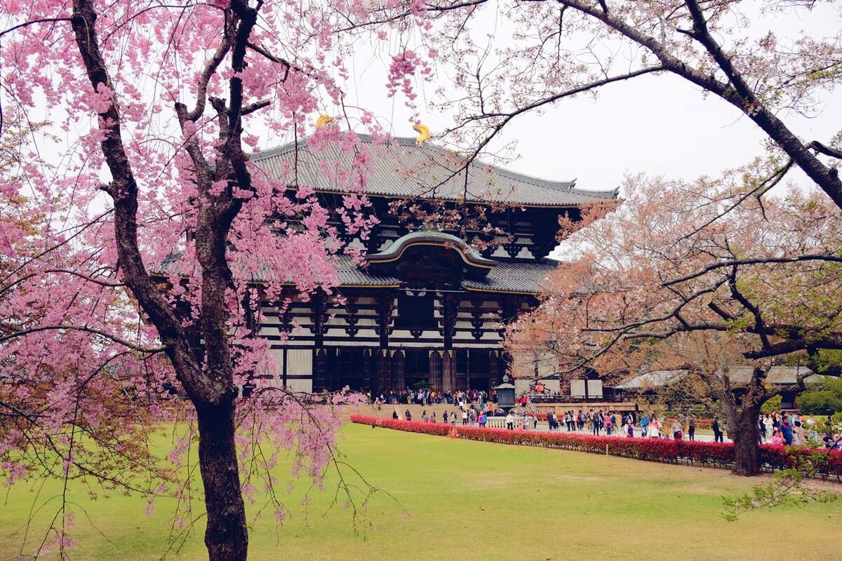 Храм Тодай-дзи Япония - Civetta ***