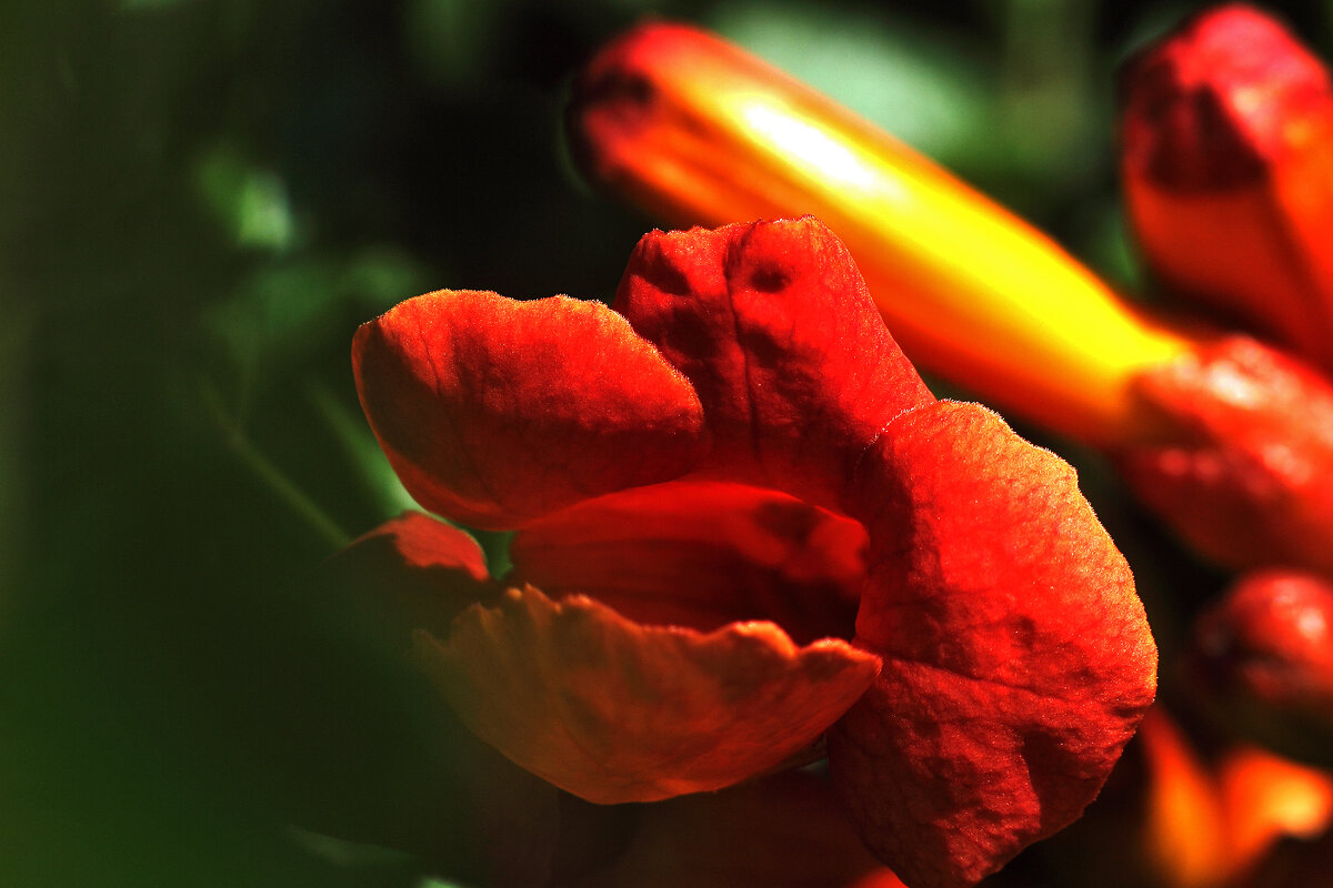 Красиво - Юрий Гайворонскiий