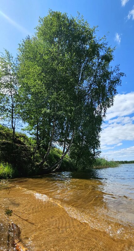 ЯрБайкал - Михаил Свиденцов