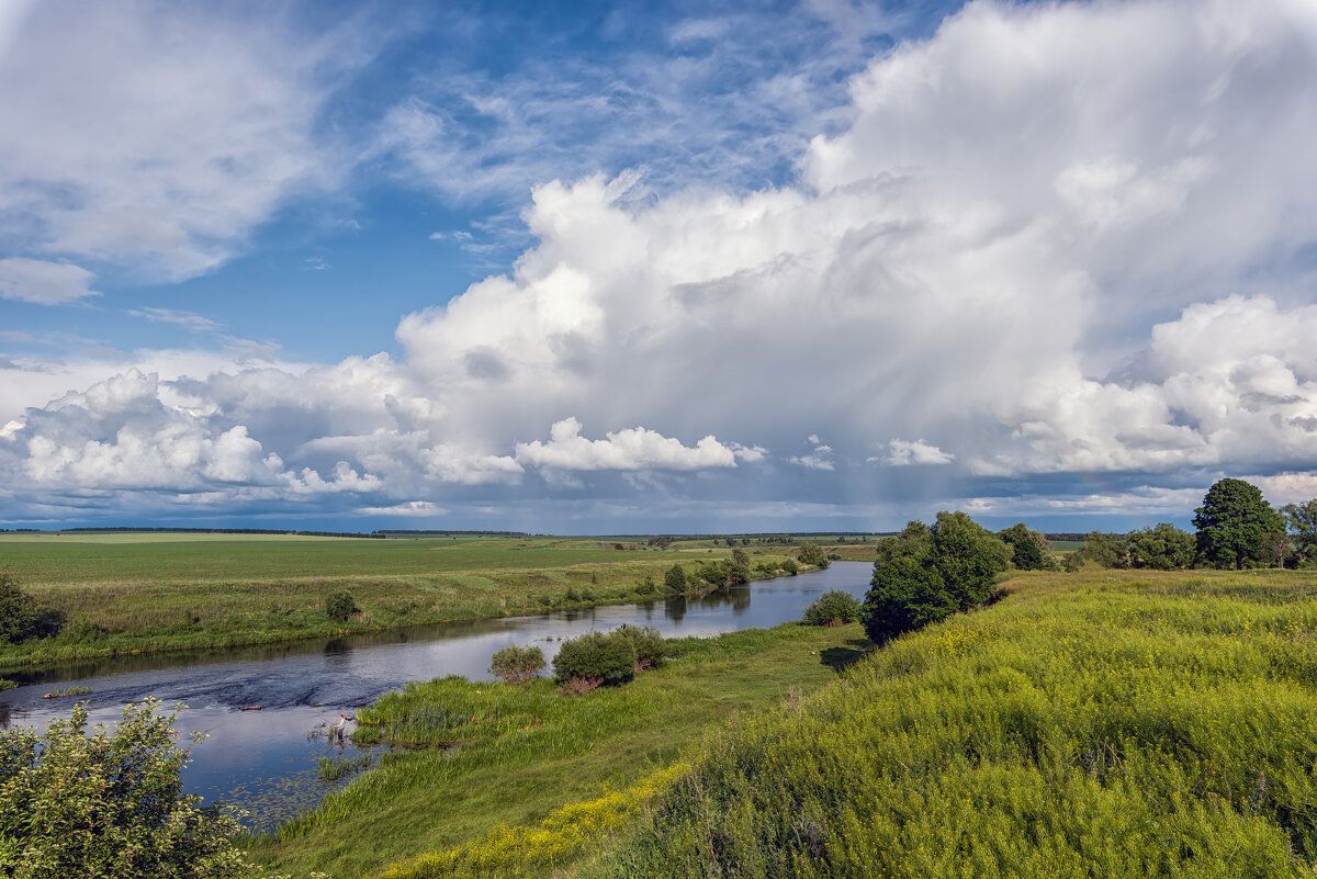 ***** - Виталий Емельянов