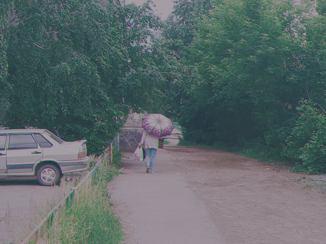 Дождливый день. - Игорь Солдаткин