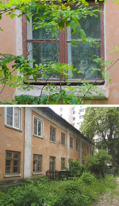 *** - Лера *** - Лера