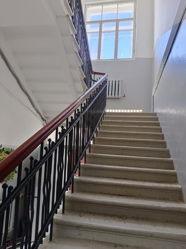 Парадная - Мария Васильева