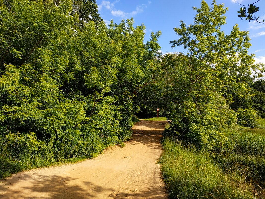 Июнь таки вспомнил, что он - лето - Андрей Лукьянов Июнь таки вспомнил, что он - лето - Андрей Лукьянов