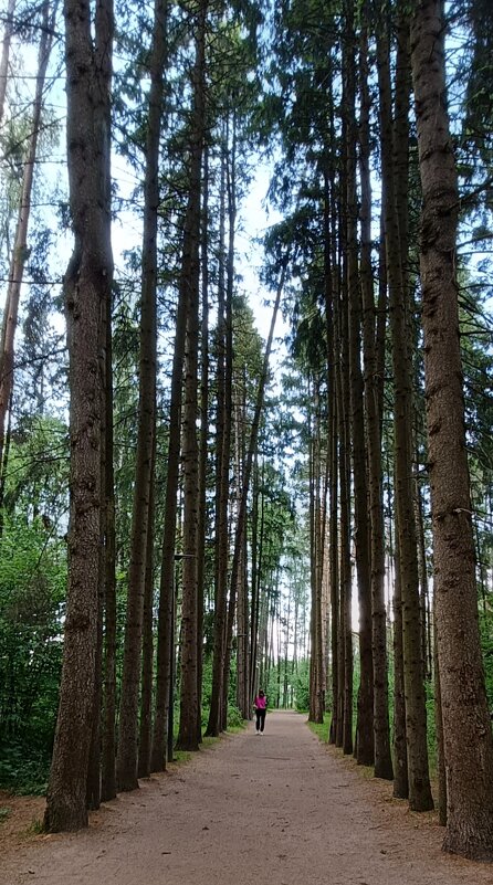 парк Малевича - Галина R...