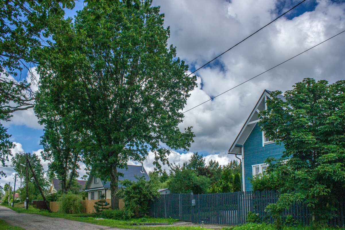 Вдали от шума городского, под сенью дуба векового. - Михаил "Skipper"