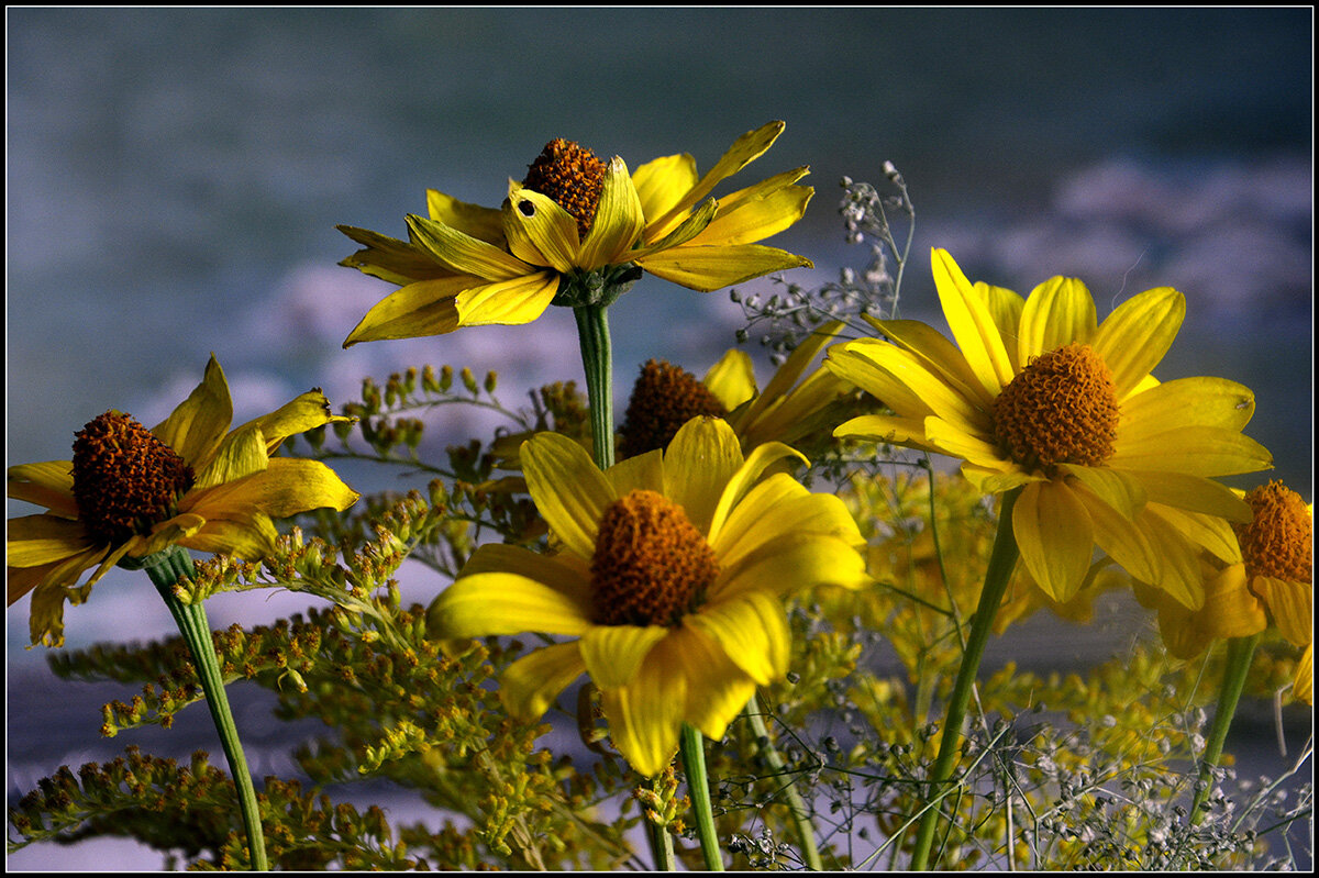 Мир прекрасного... - Aleksandr Gal
