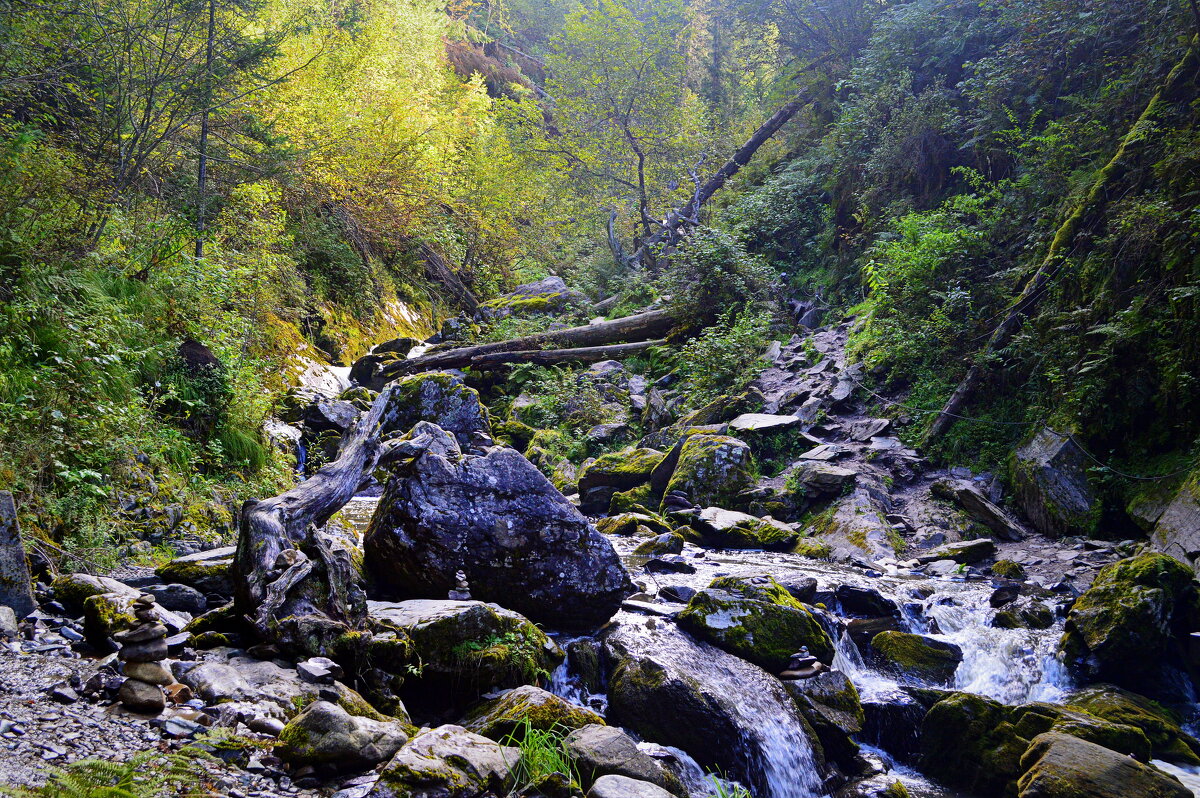 Трудной тропой заповедника - Татьяна Лютаева