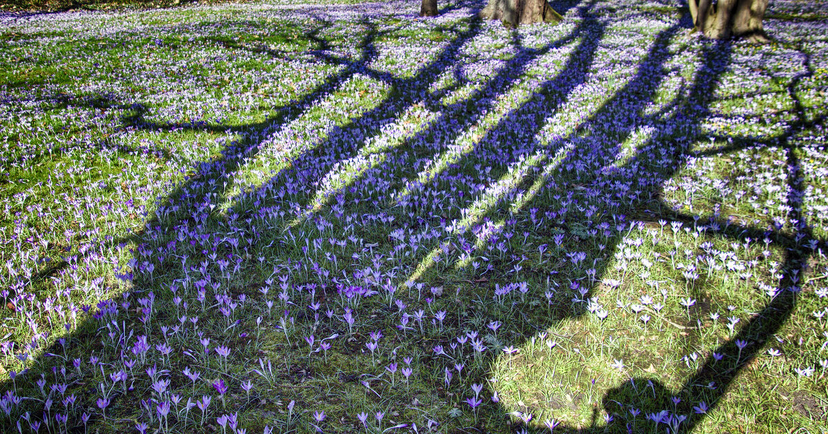 ***** - Андроник Александр 