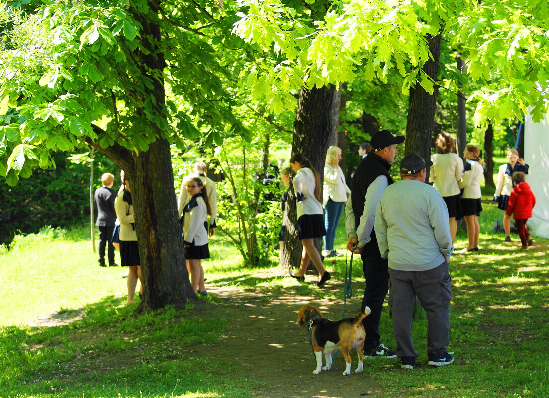 ЛЕТНЕЕ - Виктор Никитенко