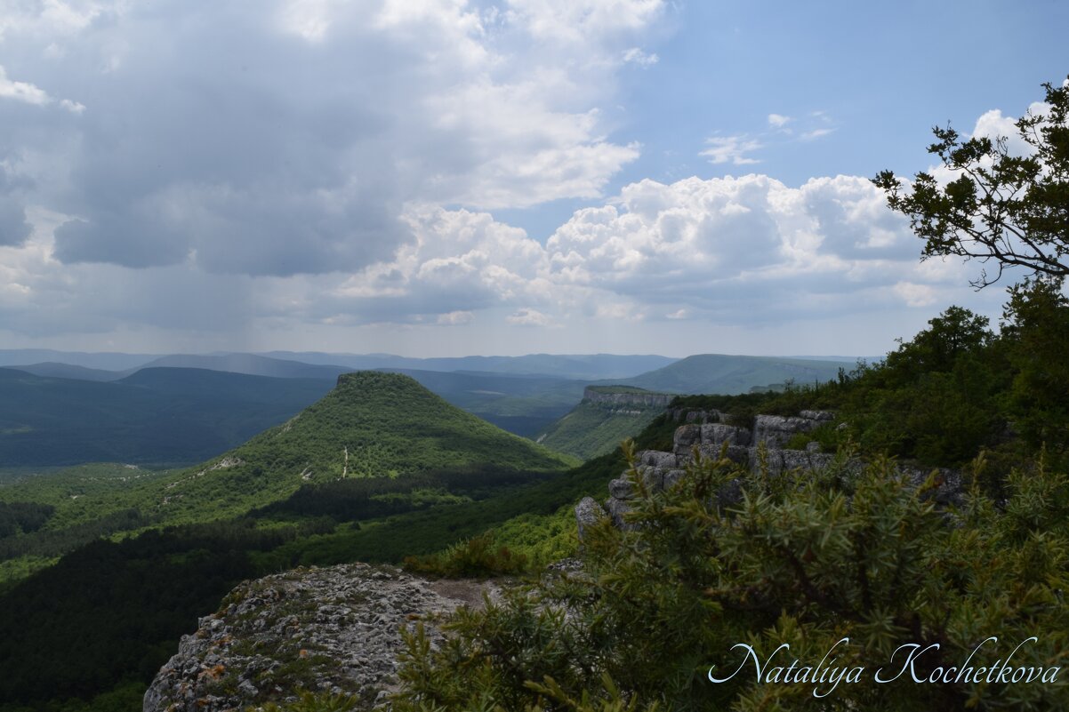 Природа Крыма - Amazing Cosmea