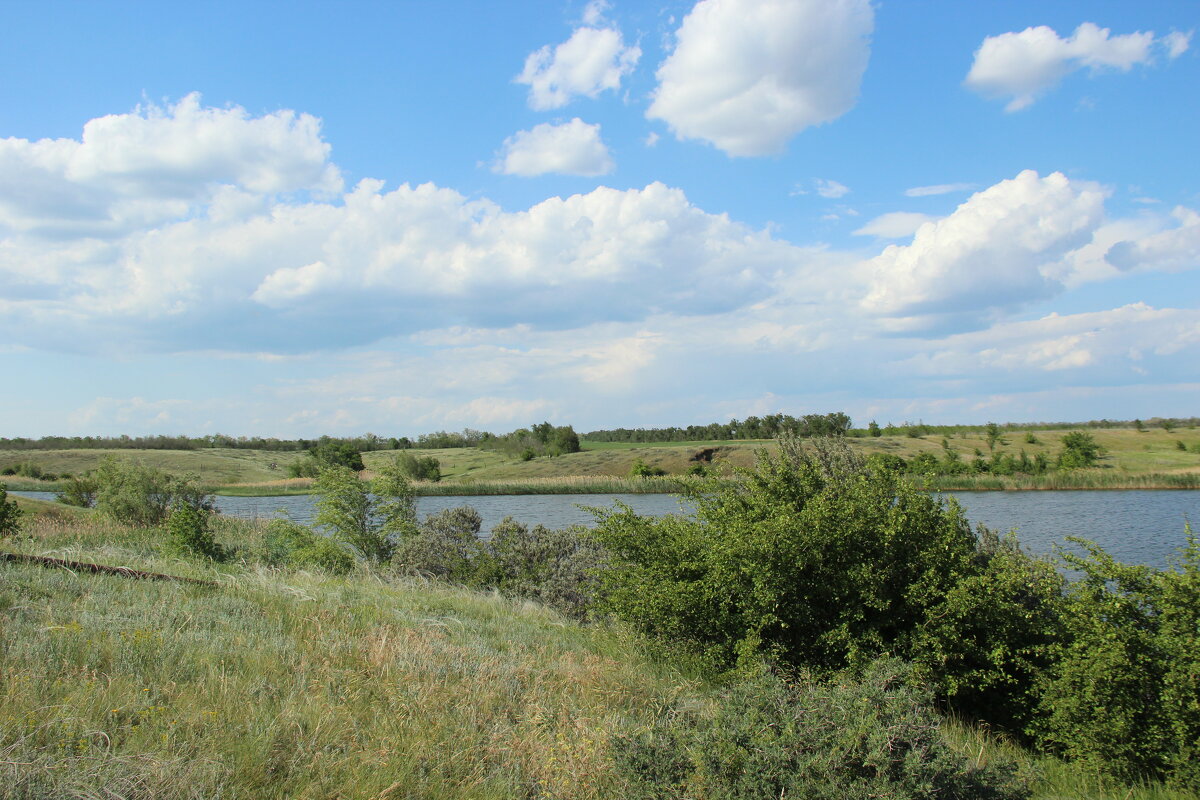 У пруда. - Виктор 